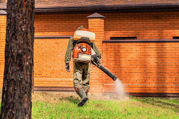 Trusted Bed Bug Control service in Surgoinsville, TN - Nex Pest Control